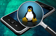 Linux Distro For Mobile