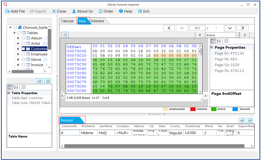 Binary Format