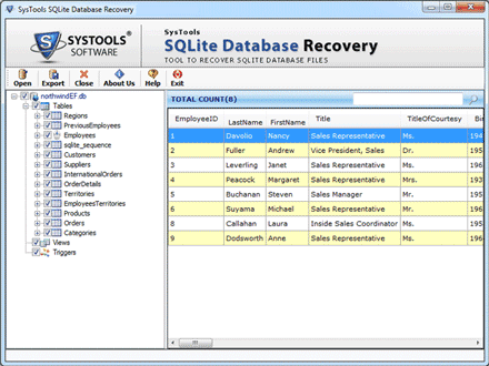 sqlite file browser step4